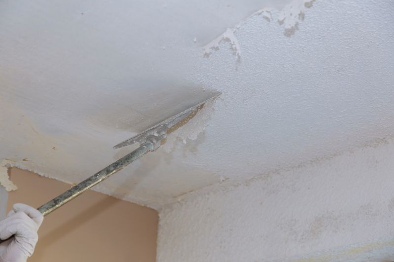 Textured Ceiling Repair detail