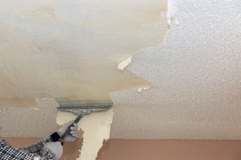 Textured Ceiling Repair detail